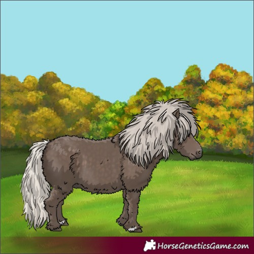 Horse Color:Silver Black 
