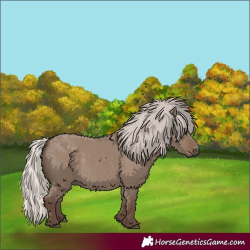 Horse Color:Silver Grullo