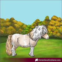 Horse Color:Red Roan Pearl Tobiano Frame 