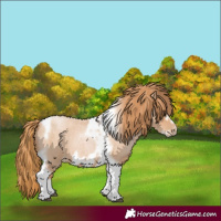 Horse Color:Red Roan Pearl Tobiano Frame 