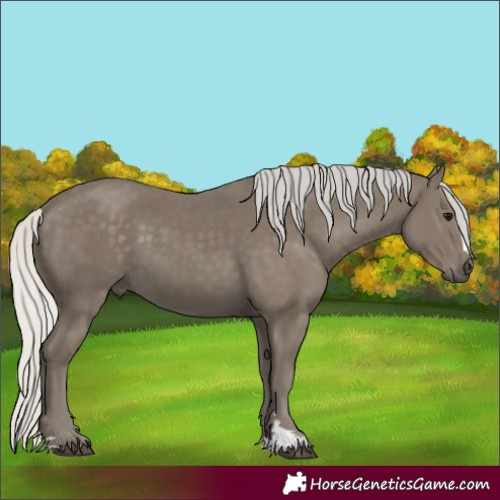 Horse Color:Silver Smoky Black 