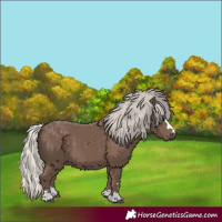 Horse Color:Silver Black 