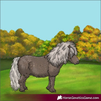 Horse Color:Silver Black 