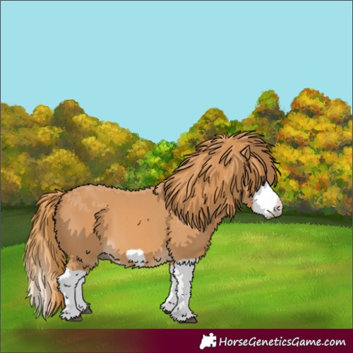 Horse Color:Chestnut Splash Frame