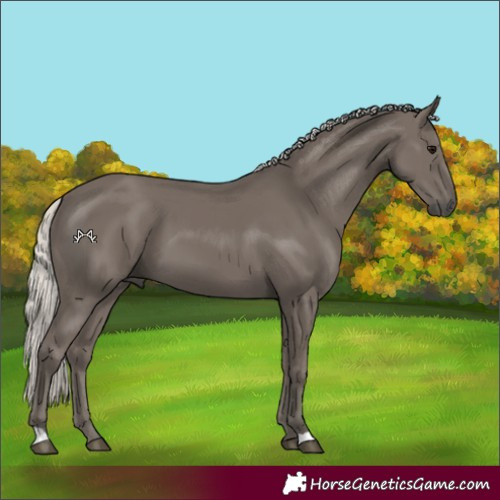 Horse Color:Silver Smoky Black 