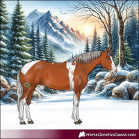 Horse Color:Silver Bay Splash Tobiano 