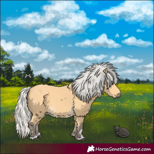 Horse Color:Silver Buckskin 