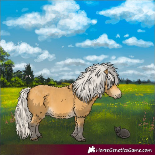 Horse Color:Silver Buckskin 