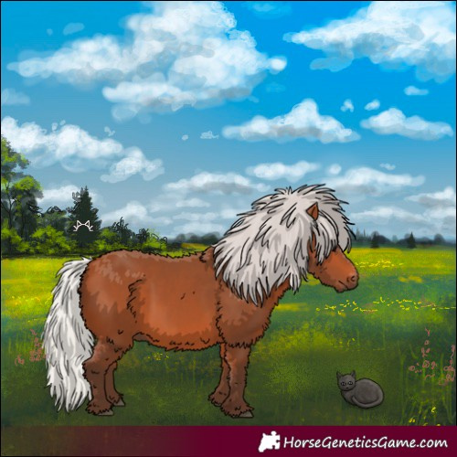 Horse Color:Silver Bay 