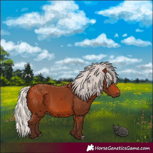 Horse Color:Silver Bay 