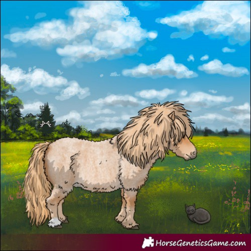 Horse Color:Red Roan 