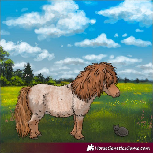 Horse Color:Red Roan 