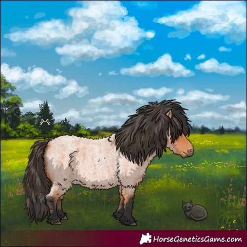 Horse Color:Bay Roan 