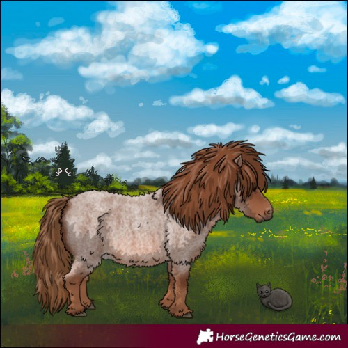 Horse Color:Red Roan 