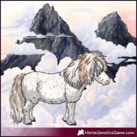 Horse Color:Red Roan Splash Near Leopard