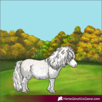 Horse Color:Cremello Sabino  and Cremello Sabino 