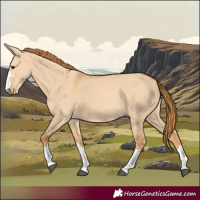 Horse Color:Red Dun 