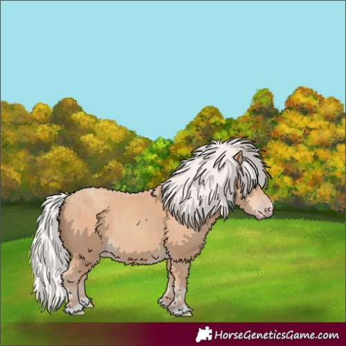 Horse Color:Silver Classic Champagne 