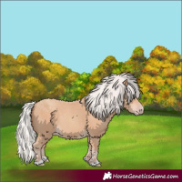 Horse Color:Silver Classic Champagne 