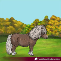 Horse Color:Silver Black 