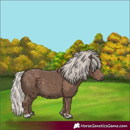 Horse Color:Silver Black