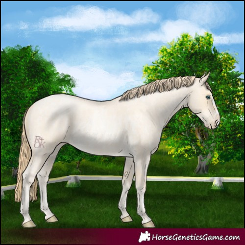 Horse Color:Buckskin Roan Pearl  and Buckskin Roan Pearl Splash 
