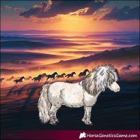 Horse Color:White Spotted Chocolate Buckskin and White Spotted Chocolate Buckskin Pearl