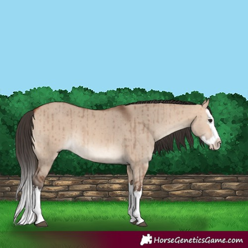 Horse Color:White Spotted Bay Dun Mushroom Splash Brindle 