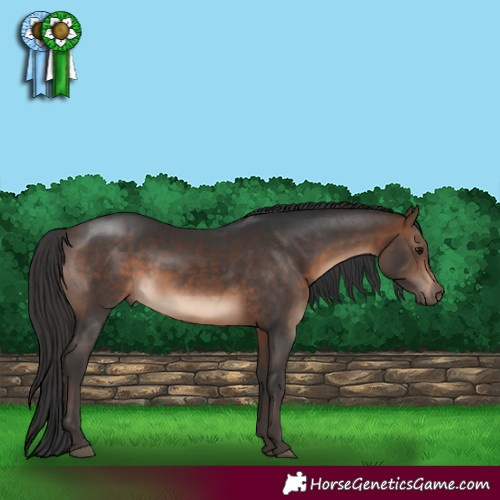 Horse Color:Brown 