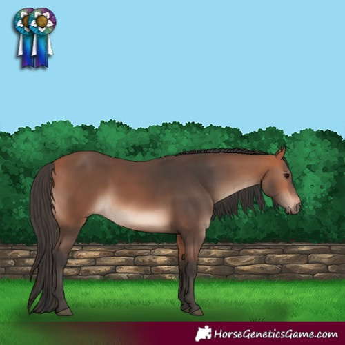 Horse Color:Bay Mushroom 