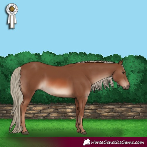 Horse Color:Chestnut Mushroom 