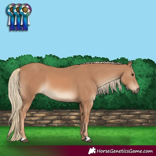 Horse Color:Chestnut Mushroom 