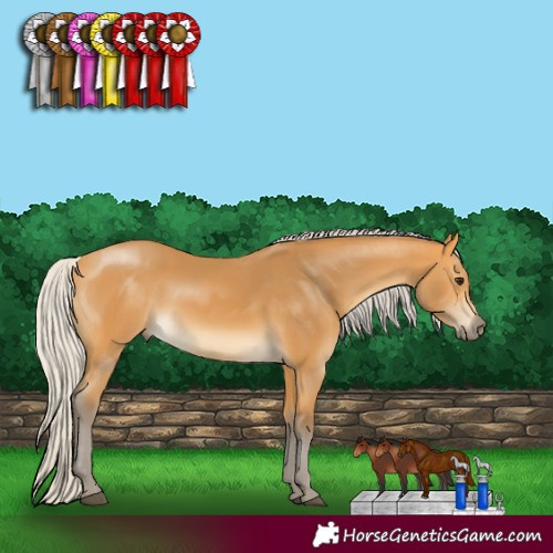 Horse Color:Silver Buckskin 