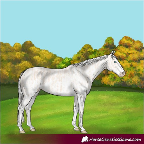 Horse Color:Cremello Sabino  and Cremello Sabino 