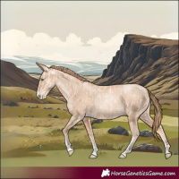 Horse Color:Gold Champagne Pearl Dun Rabicano  and Gold Champagne Pearl Rabicano 