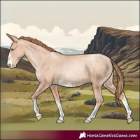 Horse Color:Gold Champagne Pearl Rabicano  and Amber Champagne Pearl Rabicano 