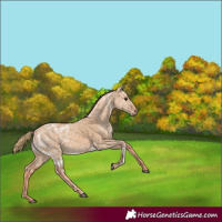 Horse Color:Red Dun Ice 