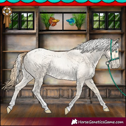 Horse Color:Buckskin Roan Pearl  and Silver Buckskin Roan Pearl 