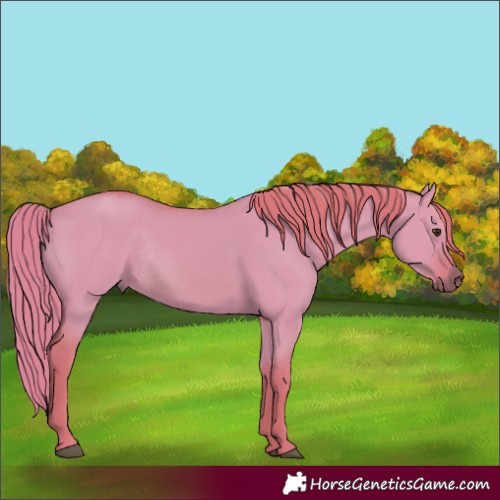 Horse Color:Watercolor Red Dun Rabicano 