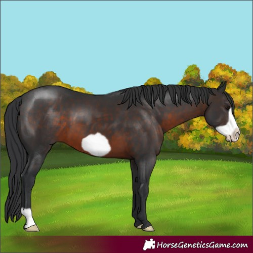 Horse Color:Brown Frame 