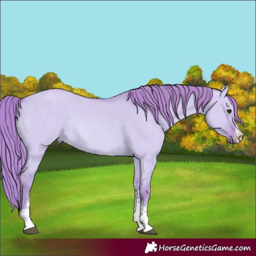 Horse Color:Watercolor Red Dun Sabino Rabicano 
