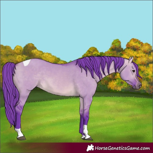 Horse Color:Watercolor Buckskin Dun Tobiano Rabicano