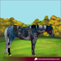 Horse Color:ERROR: UNKNOWN ANOMALY