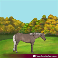 Horse Color:Silver Black 