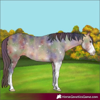 Horse Color:Nacre Buckskin Sabino 