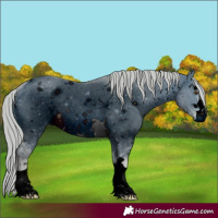 Horse Color:ERROR: UNKNOWN ANOMALY