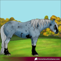 Horse Color:ERROR: UNKNOWN ANOMALY
