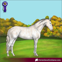 Horse Color:Perlino Sabino  and Perlino Sabino 