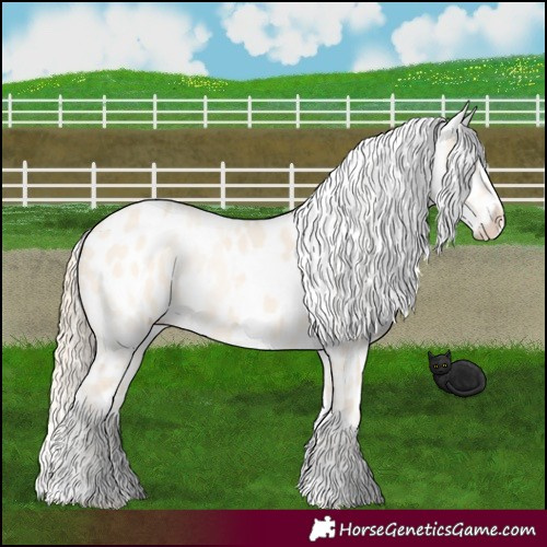 Horse Color:Cremello Dun Appaloosa  and Perlino Dun Appaloosa 