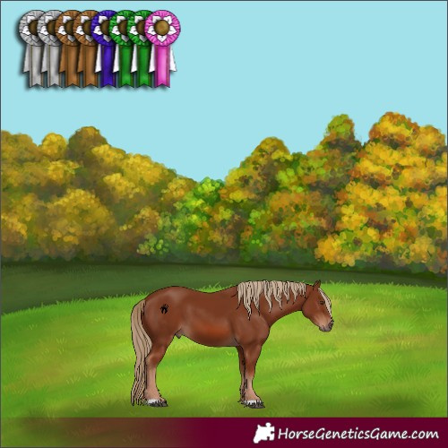 Horse Color:Chestnut 